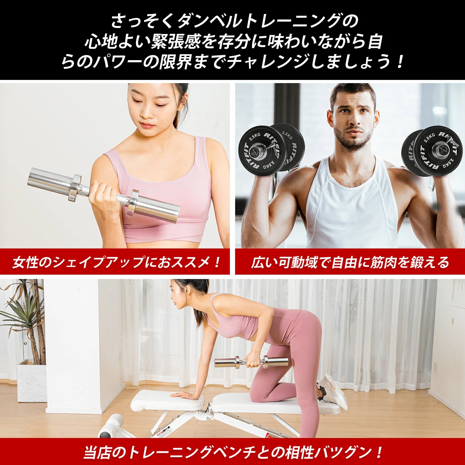 さっそくダンベルトレーニングの 心地よい緊張感を存分に味わいながら自らのパワーの限界までチャレンジしましょう！ 女性のシェイプアップにおススメ！ 広い可動域で自由に筋肉を鍛える 当店のトレーニングベンチとの相性バツグン！