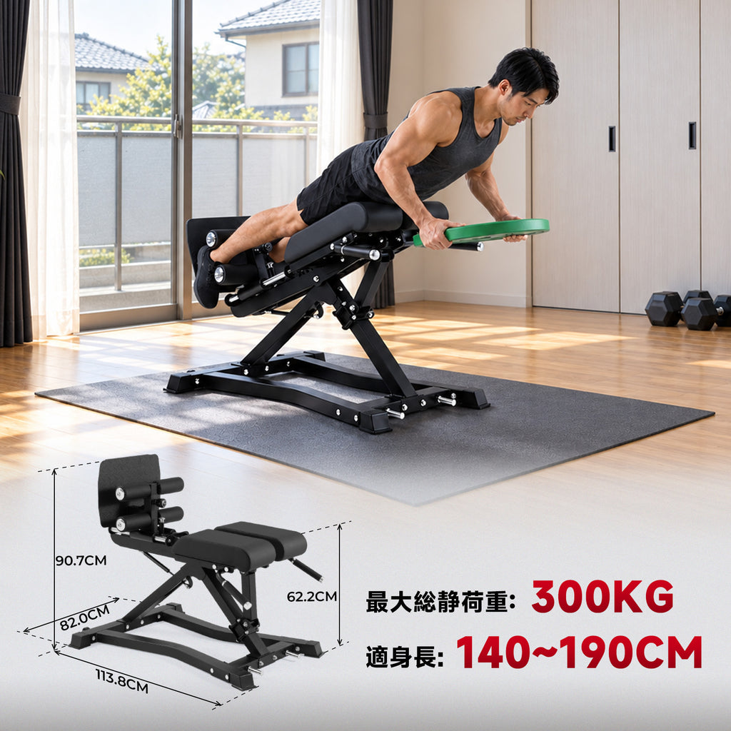 RITFIT バックエクステンションマシン BE01