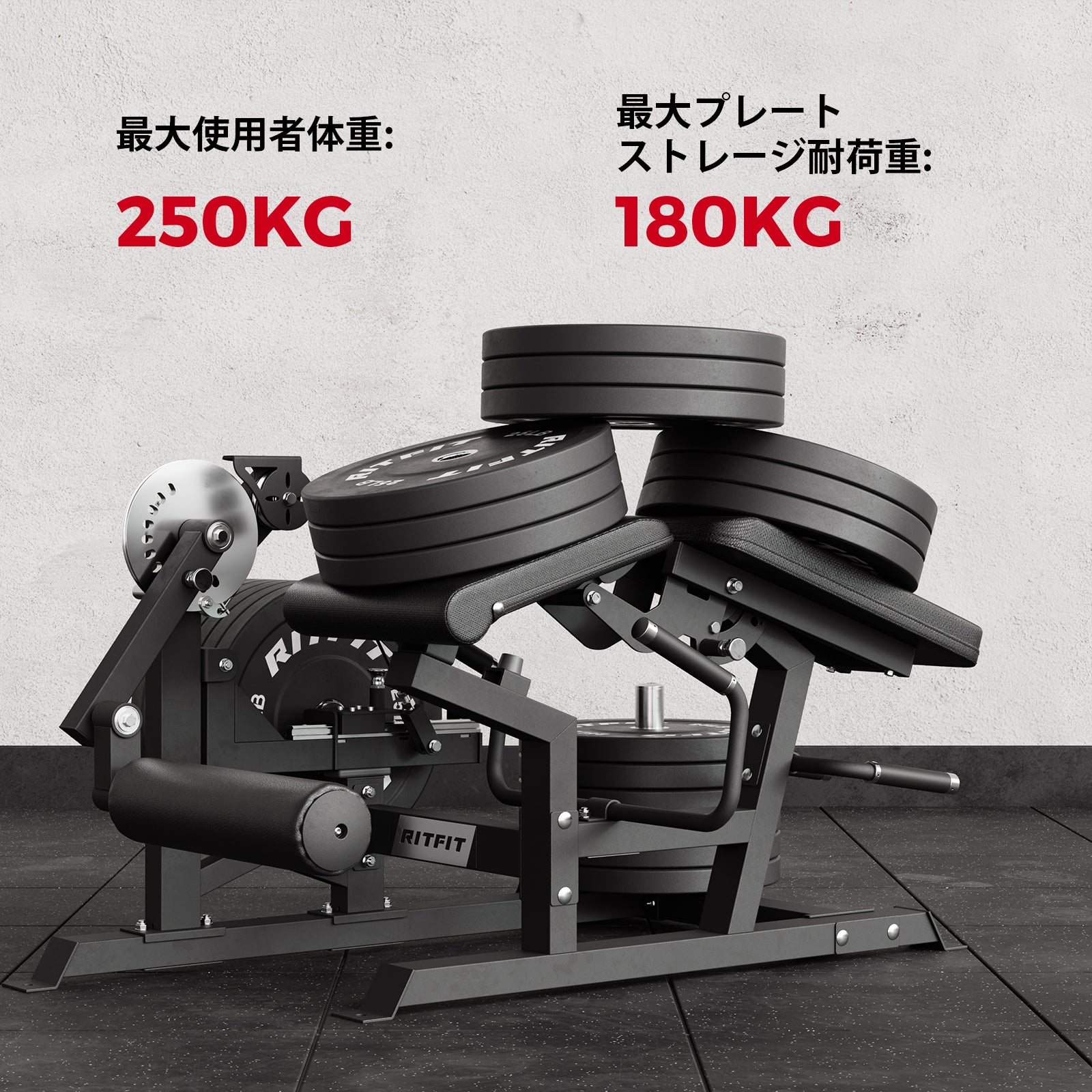 RITFIT レッグエクステンション カールマシン Mustang PRO